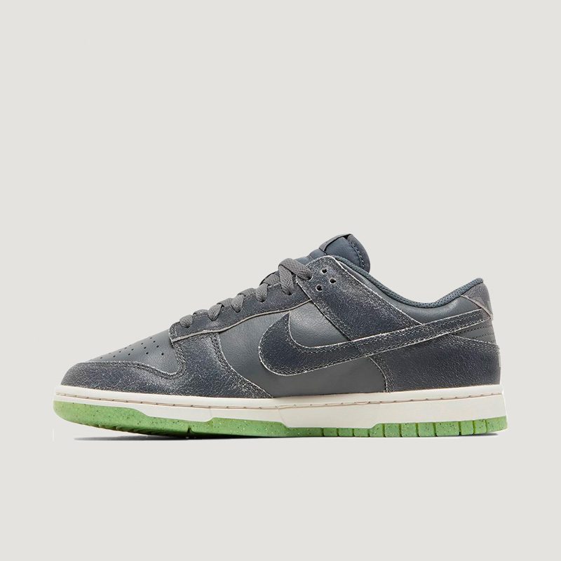 Nike Dunk Low Retro PRM 