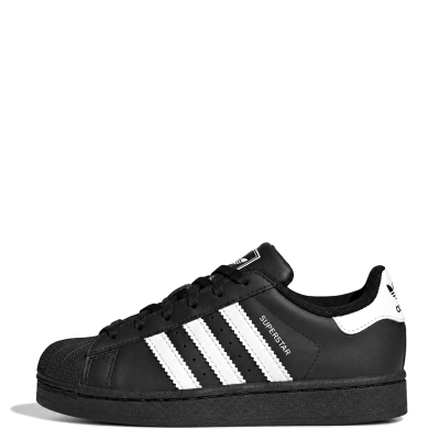 SUPERSTARS LL C - PLANTA CLASICA — JH9981