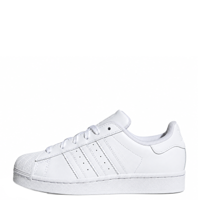 SUPERSTARS LL C - PLANTA CLASICA — JH9982